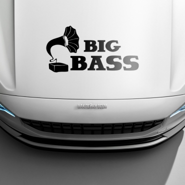 Наклейка BIG BASS