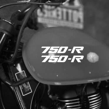 Наклейка Kawasaki 750-R на мотоцикл