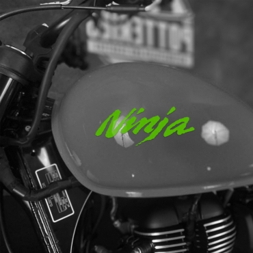Наклейка Kawasaki Ninja