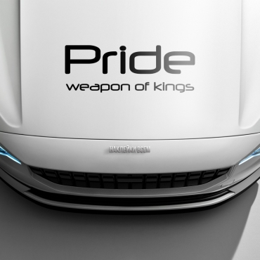 Наклейка PRIDE weapon of kings