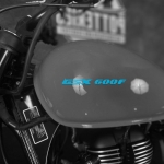 Наклейка на мотоцикл Suzuki GSX 600F